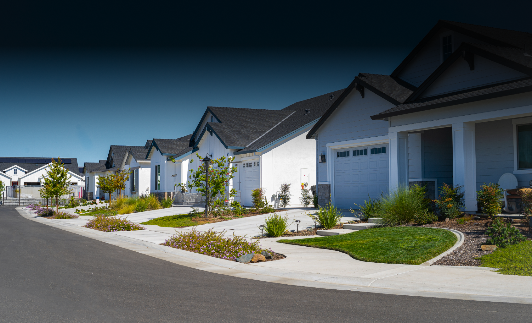 Clean residential neighborhood with greenery